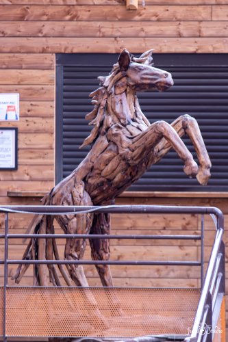 20251102_LeMans_vendredi_Divers-17