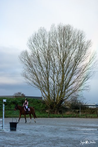 20251130_Wittmer_Divers-2