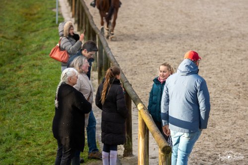 20251130_Wittmer_Divers-3