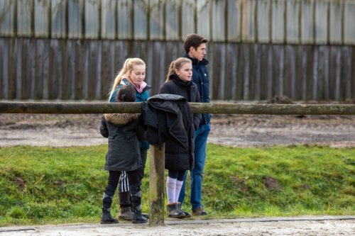 20251130_Wittmer_Divers-5