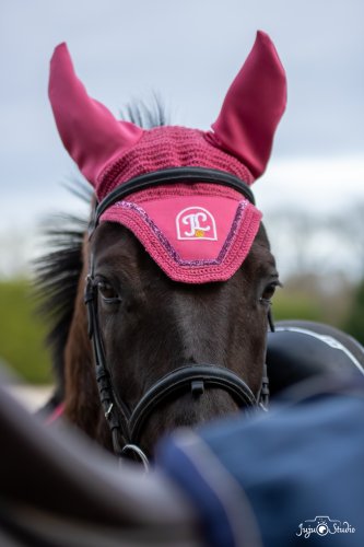 20260111_Wittmer_Divers-18