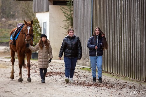 20260111_Wittmer_Divers-3