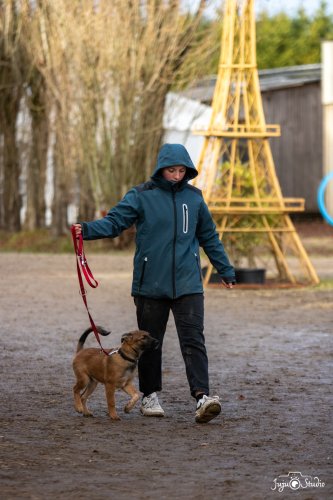 20260111_Wittmer_Divers-51