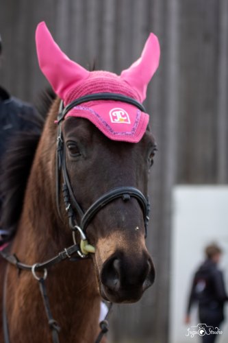 20260111_Wittmer_Divers-6