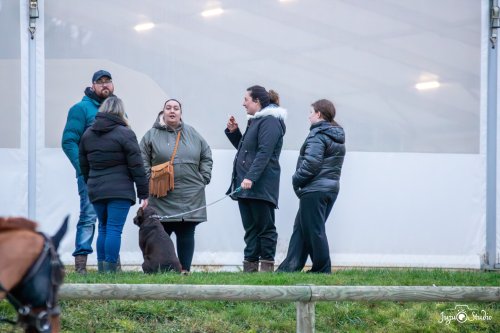 20260125_Canteleur_Divers-4