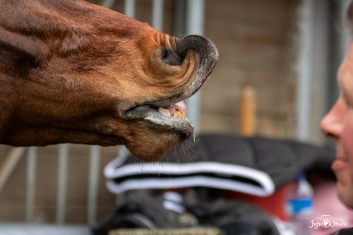 20260221_LeMans_samedi_Ella-118