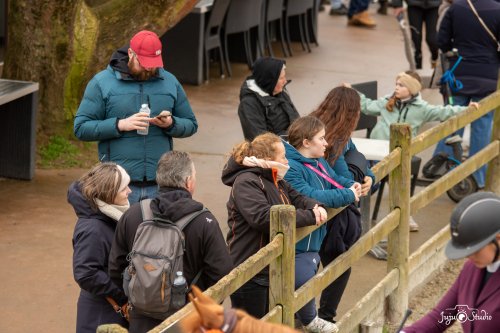 20260222_LeMans_dimanche_Divers-6